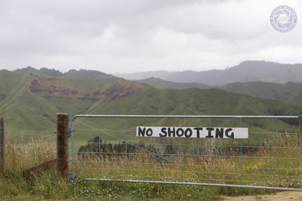 neuseeland-nordinsel-2013-033DE9F07AE-4E3E-7676-C5F1-0F79E3FCDE52.jpg