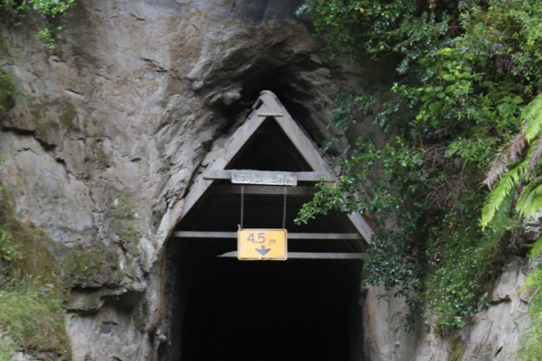 neuseeland-nordinsel-2013-0396A26A9A9-52B0-7AA9-A2BD-7E9F2E19B776.jpg