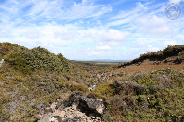 neuseeland-nordinsel-2013-047F4E94FC8-9D32-DEC0-5B10-FF530509709C.jpg