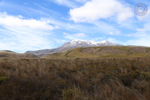 neuseeland-nordinsel-2013-0493F641280-B1E0-43D7-8703-6D2FBE856195.jpg