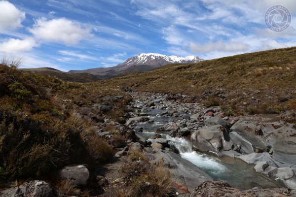 neuseeland-nordinsel-2013-050CCEF66A6-0C2C-A244-87B6-E1B25CEE3119.jpg