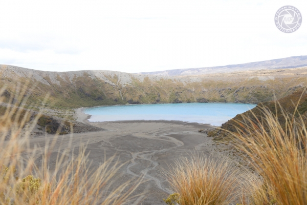 neuseeland-nordinsel-2013-0544FCD62E1-0933-EDE1-B7D0-58AE26A06B0B.jpg