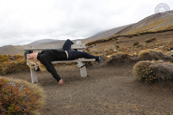 neuseeland-nordinsel-2013-05515DAC20E-03B8-BAB6-7B27-C97276068CEF.jpg