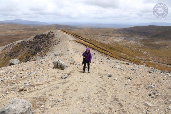 neuseeland-nordinsel-2013-05816F3D291-3E17-DC35-CF8F-A80F4507938B.jpg