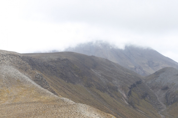 neuseeland-nordinsel-2013-05901CDF260-3380-0FF2-D245-C3CAEADD407C.jpg
