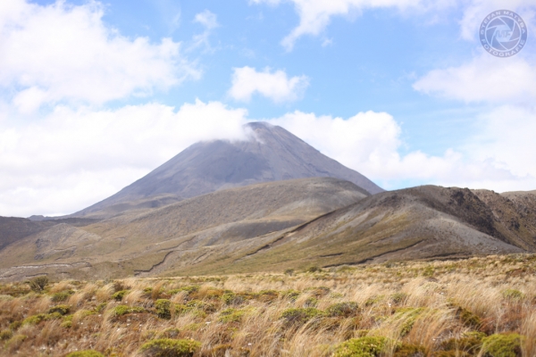 neuseeland-nordinsel-2013-0614F622C43-0535-EB49-6151-66F1F7375AEF.jpg