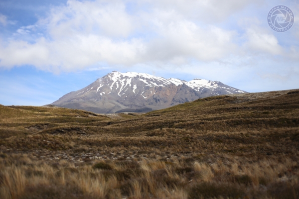 neuseeland-nordinsel-2013-063F741DBCE-FC04-A515-4DE4-7FDE160CA84E.jpg