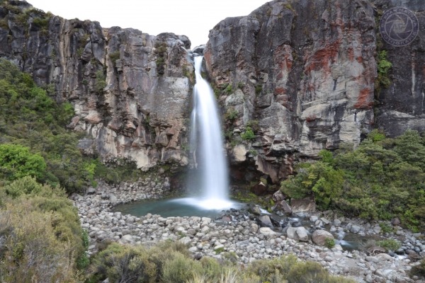 neuseeland-nordinsel-2013-06645C6A3CD-6572-A03B-74F3-48F19385E823.jpg