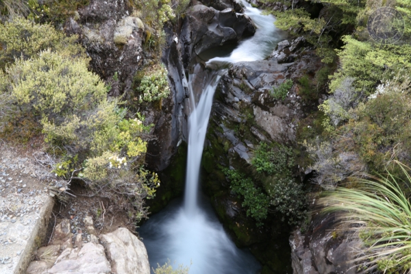 neuseeland-nordinsel-2013-06700946036-1779-3EB7-D666-BD1E205F7001.jpg
