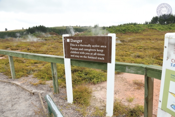 neuseeland-nordinsel-2013-07290B0D962-5640-3B3E-E962-8DCC5ED2BE7D.jpg