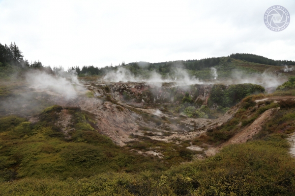 neuseeland-nordinsel-2013-07582DFE320-1853-56E5-EFFA-94DAD494BBBD.jpg