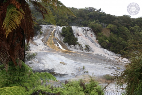 neuseeland-nordinsel-2013-0787A98A1AD-25EA-AF78-FCF6-C539AFC53347.jpg