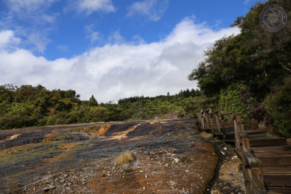 neuseeland-nordinsel-2013-086465E9171-C72C-C98C-D1AA-1FD2FDBBDEFB.jpg