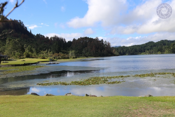 neuseeland-nordinsel-2013-0870A85D543-36EF-5DCD-57D3-CD64258611A1.jpg