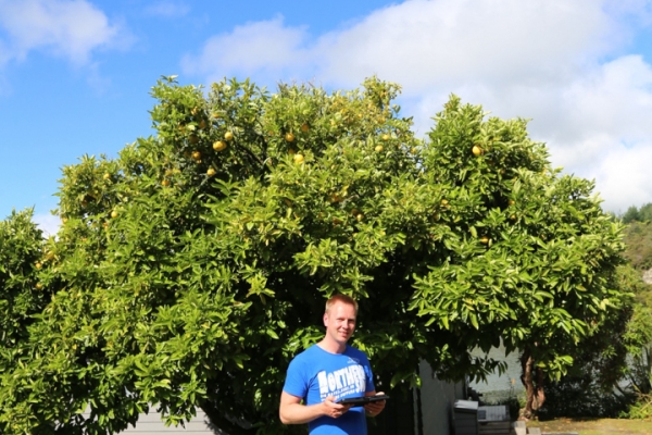 neuseeland-nordinsel-2013-088532FF405-E75D-A818-F559-6BEE9705A3A6.jpg