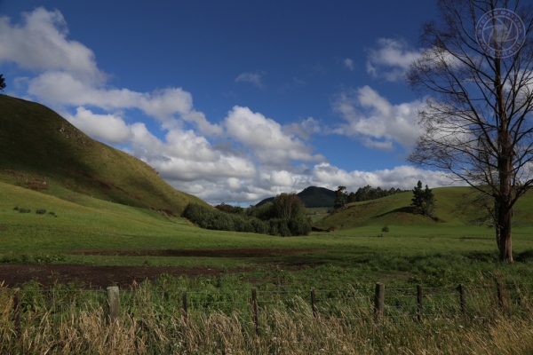 neuseeland-nordinsel-2013-089185C9A8D-1A40-700D-C92E-27E8CAADCA1C.jpg