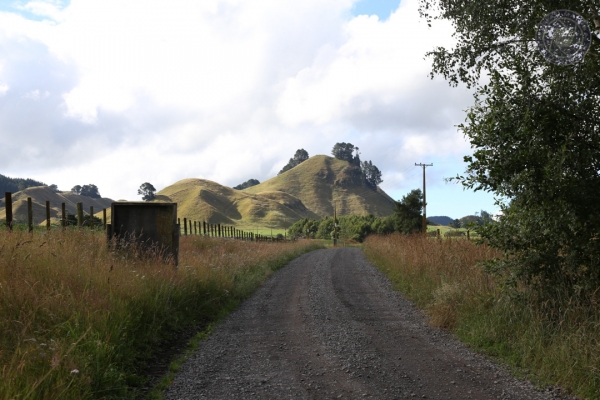 neuseeland-nordinsel-2013-0907E1B92BA-07CC-8473-B7EE-3C62045DA30A.jpg