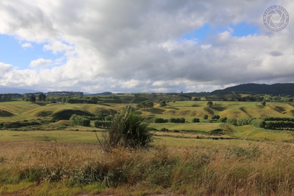 neuseeland-nordinsel-2013-09346F0F2F0-70F2-E582-426C-CF865F016B93.jpg