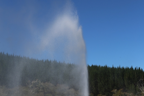 neuseeland-nordinsel-2013-098F4CAEFDC-F3AC-E827-C791-60D55281B265.jpg