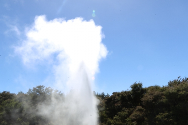 neuseeland-nordinsel-2013-101A8B16A0C-E6E0-EA4A-83AE-C0BBFCB7A2FA.jpg