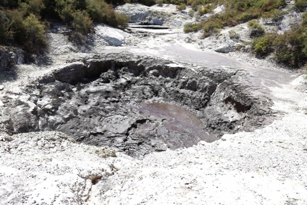 neuseeland-nordinsel-2013-102721DDEF0-A688-2BCC-1E28-0264847576AB.jpg