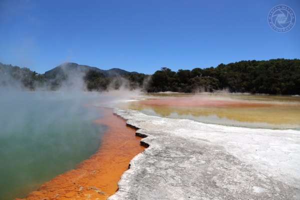 neuseeland-nordinsel-2013-108A9AC9E63-CD8A-FA6F-A2C0-A234AEE82674.jpg