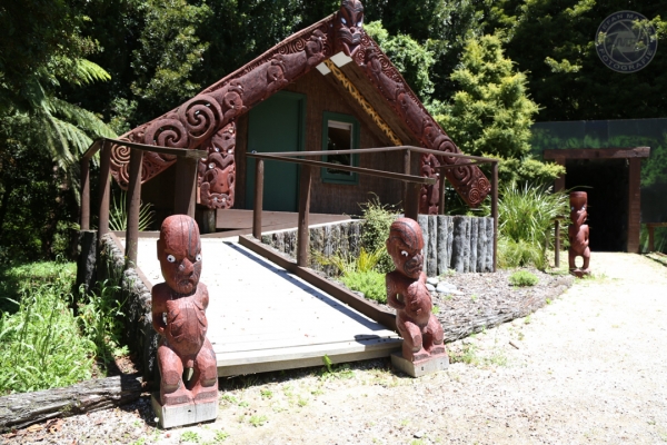 neuseeland-nordinsel-2013-1161FD06E00-D06E-5C9B-7C6A-14124F793895.jpg
