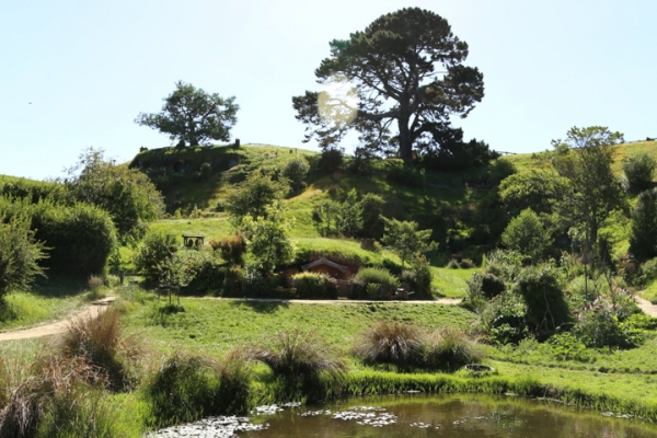neuseeland-nordinsel-2013-12569D31A6E-2A53-DC7D-3029-BCF80AF36DC6.jpg