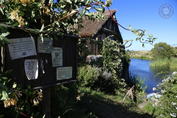 neuseeland-nordinsel-2013-129F423E62C-D905-9A3D-1A0B-0A4A8BF2CB9E.jpg