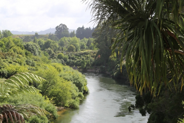 neuseeland-nordinsel-2013-147456DB2E0-D9A2-C2CD-9FDE-CE83B9EA745D.jpg