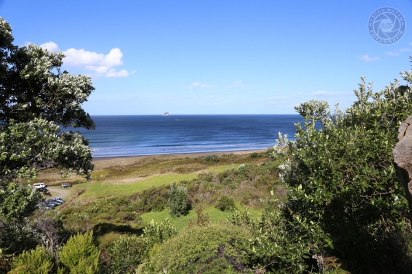 neuseeland-nordinsel-2013-166B1A4252A-642A-FD43-8A92-121404D12985.jpg