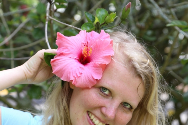 neuseeland-nordinsel-2013-187E57743B6-CDB5-8080-D989-D552D3B807AC.jpg