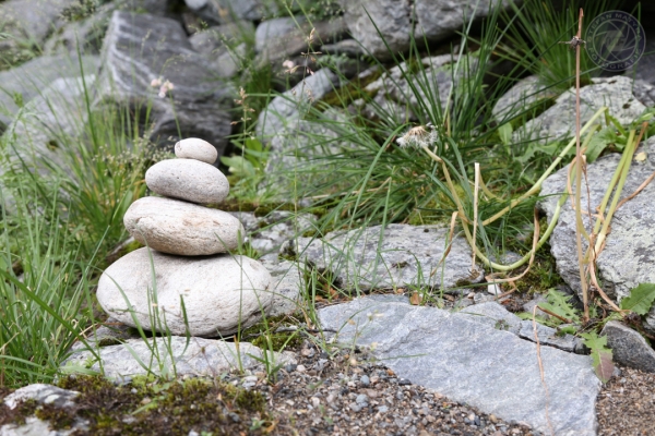 norwegen-trondelag-2014-003E095FF15-B303-9517-4FFD-01C79E8D73AD.jpg