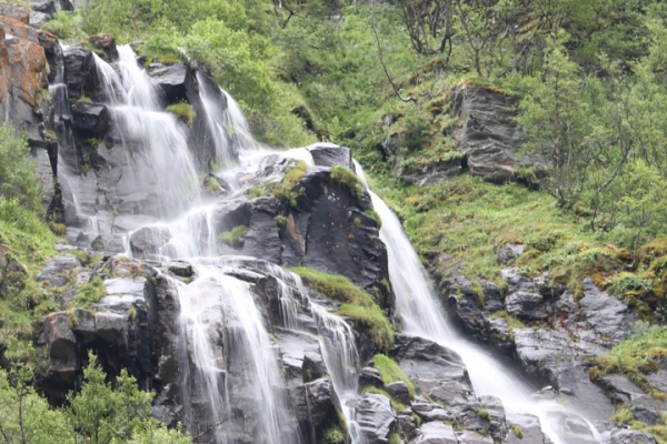 norwegen-trondelag-2014-0076EB55680-4710-AD1B-CA97-0E766A9BE4A4.jpg