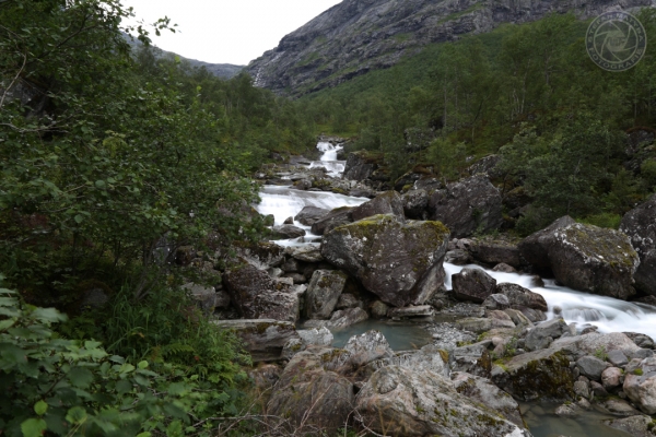 norwegen-vestlandet-2014-051837A828A-E399-D61B-2601-13490DBF247F.jpg