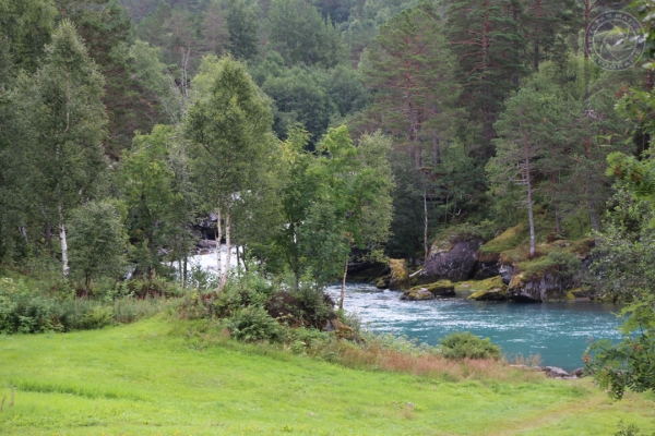 norwegen-vestlandet-2014-064B0ECEE0C-9844-7CBC-15EF-45C0A26FB702.jpg