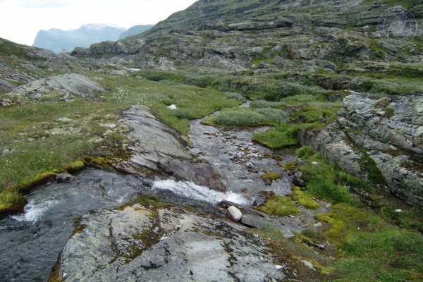 norwegen-vestlandet-2014-08023492DB2-1B1D-1226-8832-6BAABA01C914.jpg