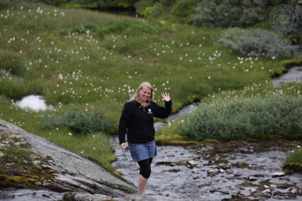 norwegen-vestlandet-2014-081C285B269-9A48-0ED5-36EB-4D2CA1C1D679.jpg