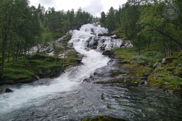 norwegen-vestlandet-2014-099968FAF6E-B1C5-0721-E362-BFE76E8B3836.jpg
