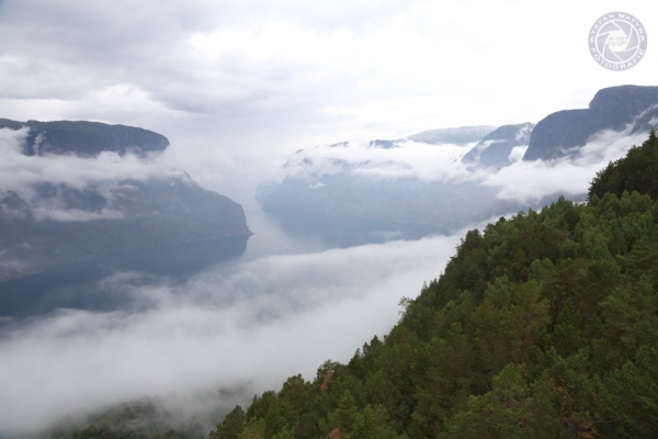norwegen-vestlandet-2014-1117AEF61F1-45F0-270F-BFB7-2845F41CC4DD.jpg