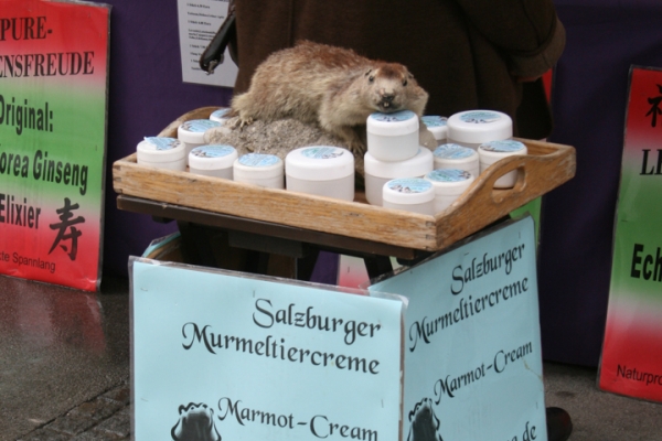 urlaub-in-bischofswiesen-vom-24-03-2013-bis-28-03-2013-355E1E501F6-3AF0-110C-E88E-465CC8051A2E.jpg