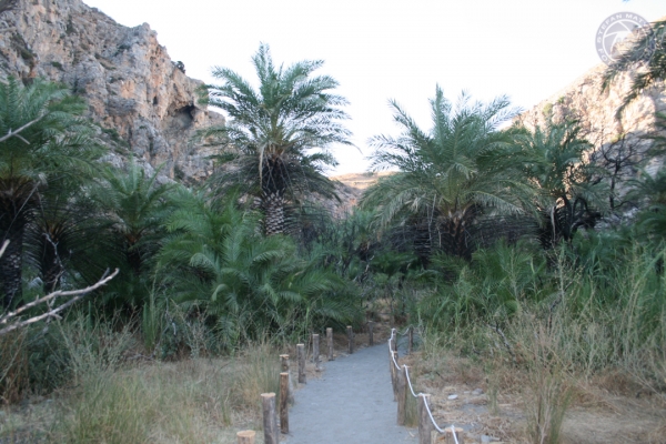 urlaub-in-griechenland-auf-kreta-vom-07-08-2011-bis-21-08-2011-0150DA4C0503-1CB7-FB92-5CF0-EE3F6B38B5EE.jpg