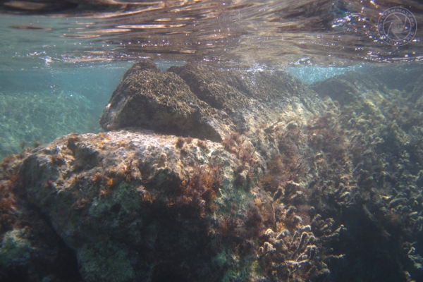 urlaub-in-griechenland-auf-kreta-vom-07-08-2011-bis-21-08-2011-063426C992B0-D3C5-9708-A446-1D77D8445405.jpg