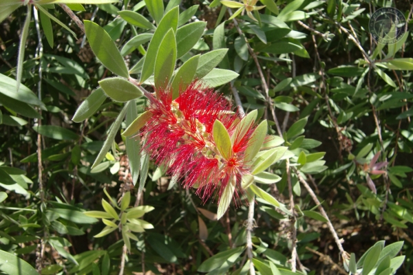 urlaub-in-griechenland-auf-kreta-vom-07-08-2011-bis-21-08-2011-1094B0C70922-087F-A98C-B159-EA686047F0C6.jpg