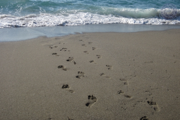 urlaub-in-griechenland-auf-kreta-vom-07-08-2011-bis-21-08-2011-1190AF1B8C08-B03C-3F66-80B9-20EBD3F0DBD1.jpg