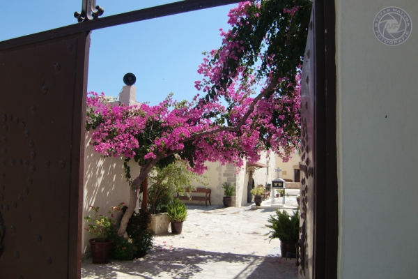 urlaub-in-griechenland-auf-kreta-vom-07-08-2011-bis-21-08-2011-142426FF07CC-E6DC-9480-EA1C-9C0E222C4DA1.jpg
