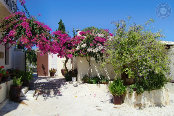 urlaub-in-griechenland-auf-kreta-vom-07-08-2011-bis-21-08-2011-142971296EDE-3DE2-B364-3D6B-2F69B198D7C7.jpg