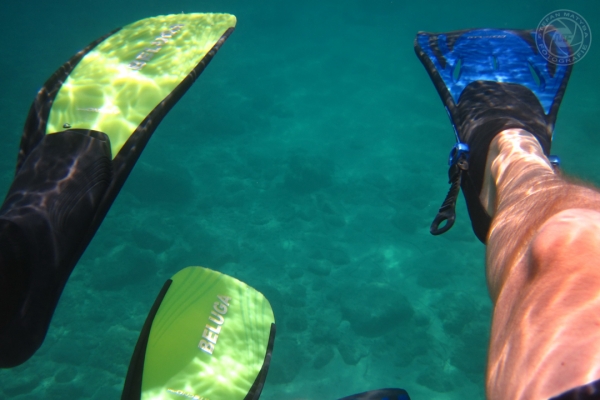 urlaub-in-griechenland-auf-kreta-vom-07-08-2011-bis-21-08-2011-1482DC9544FC-7086-A743-C532-A43592531D9C.jpg