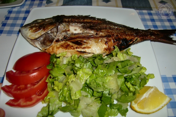 urlaub-in-griechenland-auf-kreta-vom-07-08-2011-bis-21-08-2011-16346705E5EC-88DC-72F3-1C51-F74B7A16E915.jpg