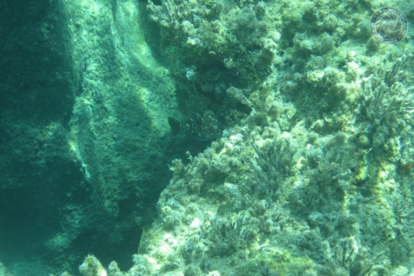 urlaub-in-griechenland-auf-kreta-vom-07-08-2011-bis-21-08-2011-1655BCD4B0D7-A9DA-B947-9B4C-167F5BFB03AA.jpg